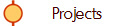 Projects